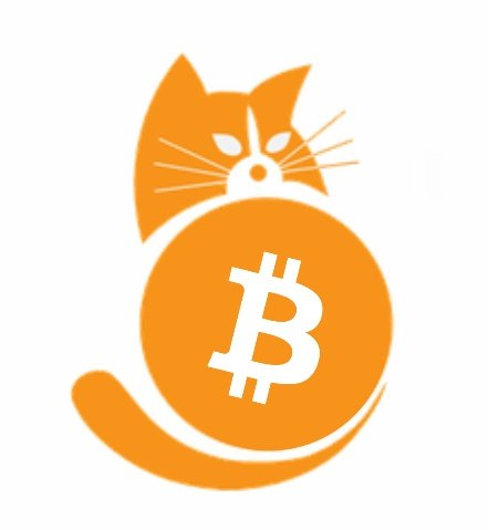 猫上的eth(猫上的灯怎样亮才算正常)
